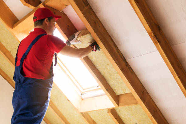 Best Spray Foam Insulation  in Point Venture, TX